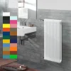 Радиатор стальной трубчатый Zehnder Charleston 3060 100-600 мм [1 секция]