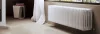ᐉ Радиатор стальной трубчатый Arbonia Cambiotherm 3037 105-370 мм [1 секция]  ✅ фото | Arbonia ⭐ Progreem.by