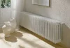 ᐉ Радиатор стальной трубчатый Arbonia Cambiotherm 3037 105-370 мм [1 секция]  ✅ фото | Arbonia ⭐ Progreem.by