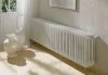 ᐉ Радиатор стальной трубчатый Arbonia 2045 65-450 мм [1 секция]  ✅ фото | Arbonia ⭐ Progreem.by