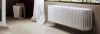 ᐉ Радиатор стальной трубчатый Arbonia 3026 105-260 мм [1 секция]  ✅ фото | Arbonia ⭐ Progreem.by