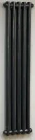 Радиатор чугунный вертикальный Радимакс LYNN 1600 [5 секций]