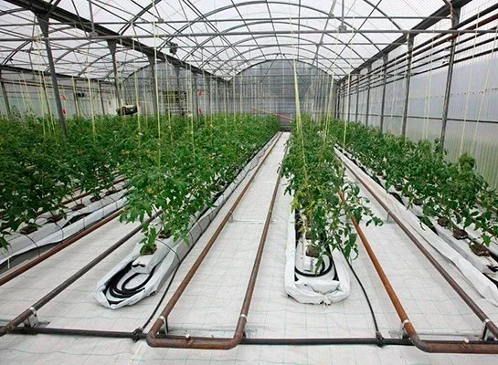 Водяное отопление парника