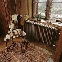 ᐉ Радиатор стальной трубчатый Zehnder Charleston 5055 173-550 мм [1 секция] ✔️ фото | ⏩ Progreem.by