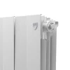 ᐉ Радиатор биметаллический Royal Thermo PianoForte 300 Белый [12 секций] RTPW3030012 ✅ фото | Royal Thermo ⭐ Progreem.by