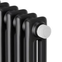 ᐉ Радиатор стальной трубчатый Royal Thermo Insignia VC2180 Technoline [6 секций] ✔️ фото | ⏩ Progreem.by