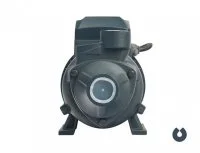 Поверхностный насос Unipump QB 60 ᐉ Поверхностный насос Unipump QB 60 ✔️ фото | ⏩ Progreem.by