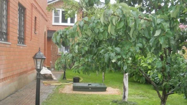 ᐉ Септик Топол-Эко ТОПАС 5 Пр ✔️ фото | ⏩ Progreem.by