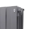 ᐉ Радиатор биметаллический Royal Thermo PianoForte 300 Серебристый [12 секций] RTPS3030012 ✅ фото | Royal Thermo ⭐ Progreem.by
