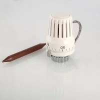 ᐉ Термоголовка с погружным датчиком Valtec VT.3011 20–60 °С, 2 м ✔️ фото | ⏩ Progreem.by