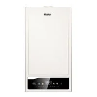 Газовый котел Haier EliteLine 2.31 TW двухконтурный [31 кВт]