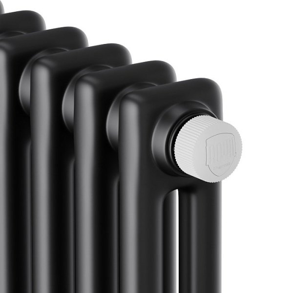 ᐉ Радиатор стальной трубчатый Royal Thermo Insignia VC2180 Technoline [6 секций] ✔️ фото | ⏩ Progreem.by