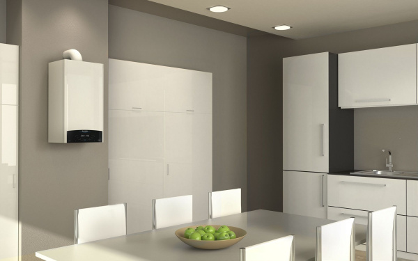 ᐉ Конденсационный газовый котел Ariston GENUS One 30 двухконтурный турбированный [30 кВт] ✔️ фото | ⏩ Progreem.by