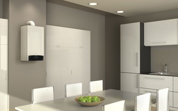 ᐉ Конденсационный газовый котел Ariston GENUS One 35 двухконтурный турбированный [35 кВт] ✔️ фото | ⏩ Progreem.by