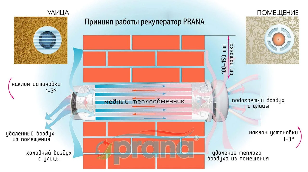 ᐉ Рекуператор Prana - 250 купить в Минске ✔️по низкой цене | Магазин  PROGREEM.BY